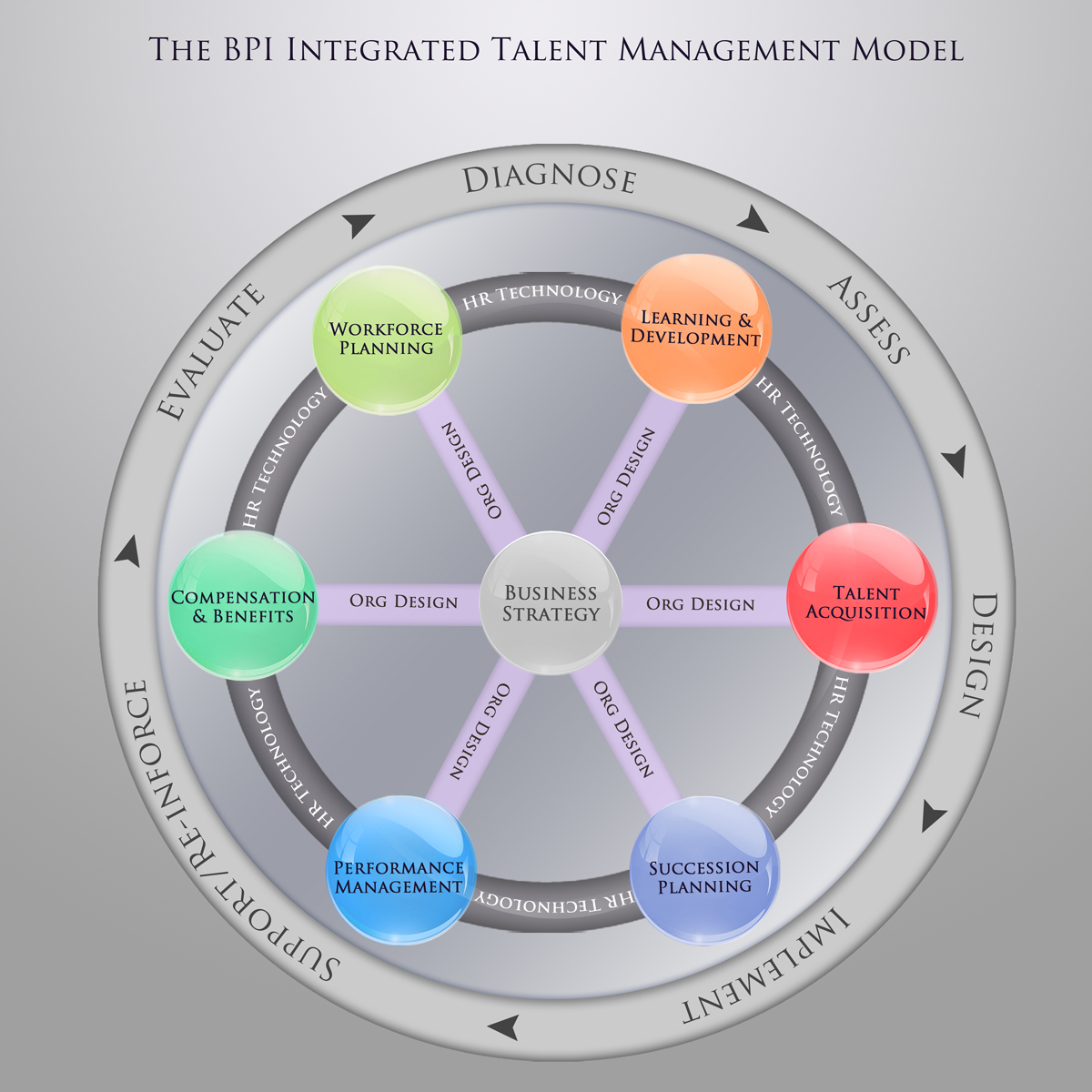 Talent management model